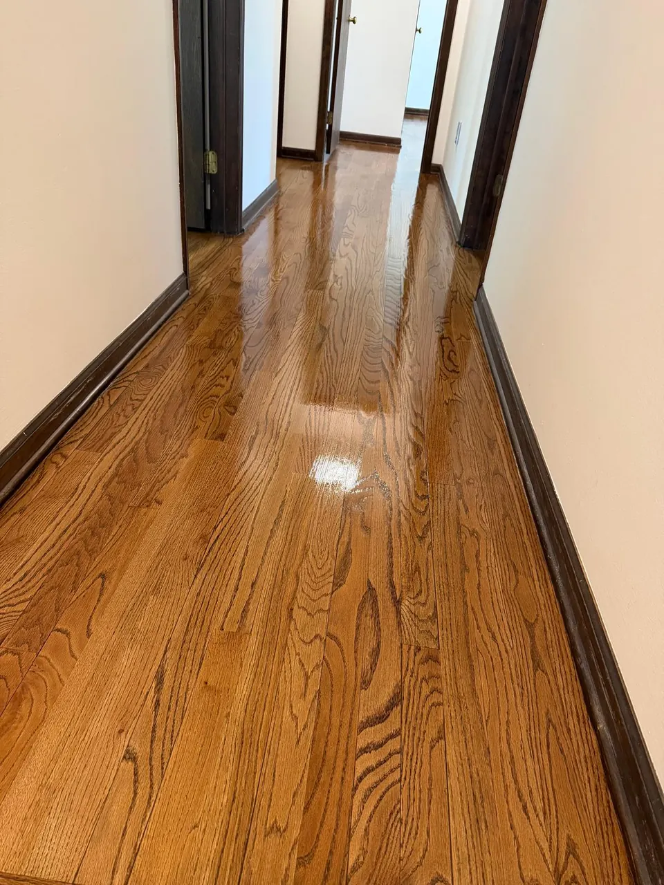 After: the same hallway sanded and refinished, glossy oak with dark trim