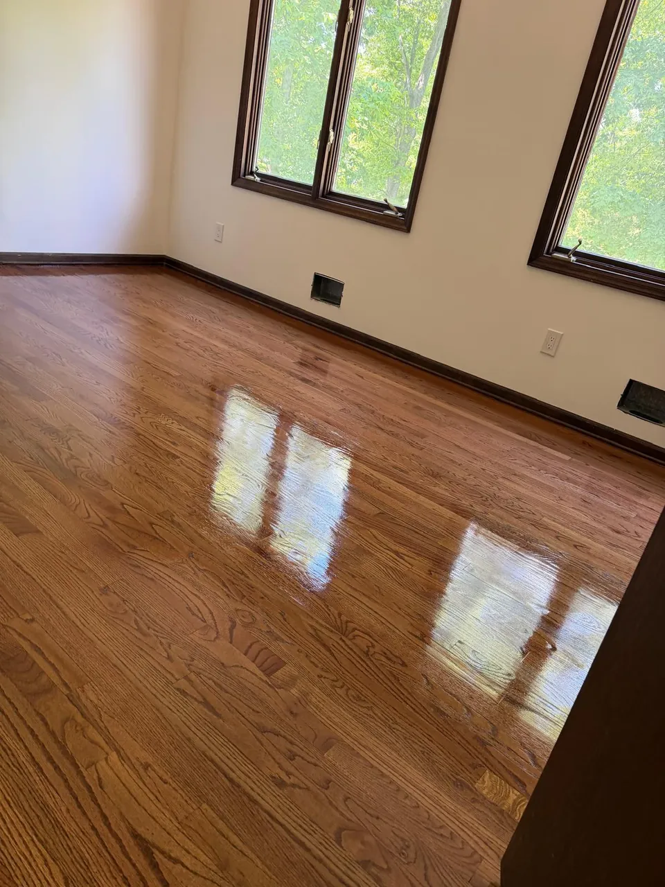 Room with dark window trim and a deep brown stained oak floor, glossy finish